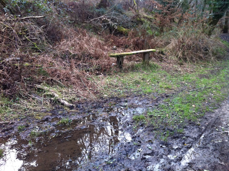 Yup, that’s the actual path. I did say it was a rare dry day.